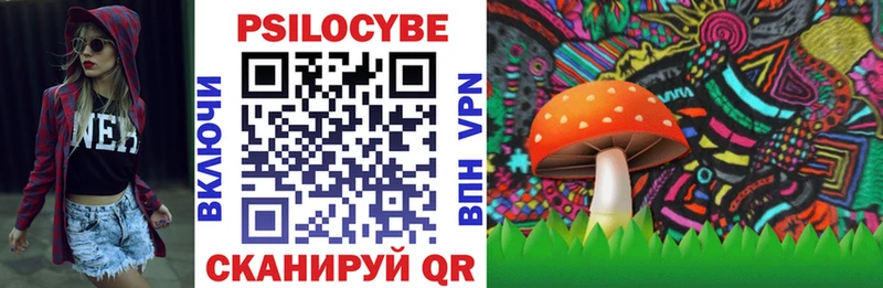Псилоцибиновые грибы Magic Shrooms  как найти наркотики  гидра как войти  Рошаль 