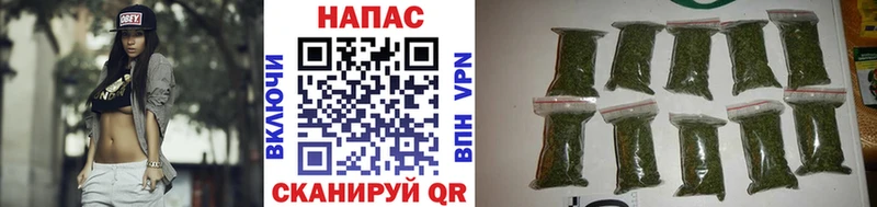 где найти наркотики  Рошаль  Канабис план 